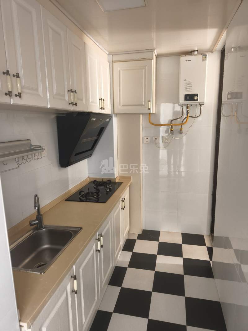 泗泾新苑西区15110181厨房图5