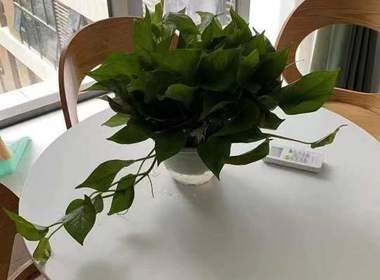 兴耀锦里 2室1厅1卫