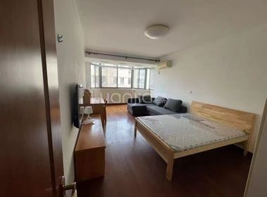 中福世福汇（广东路339号） 1室1厅0卫