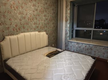 九英里 1室1厅1卫