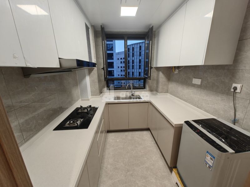 红星临港天铂15343738厨房图7