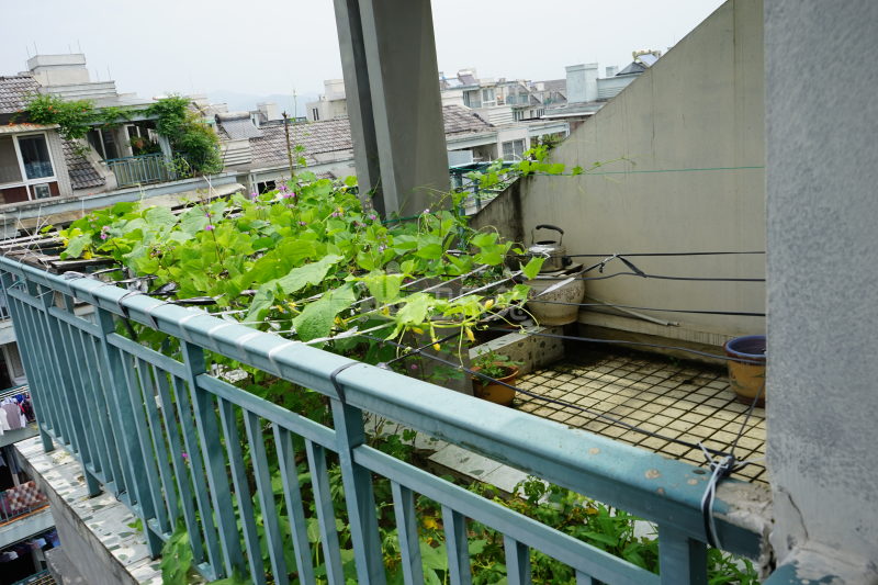 凤城花苑15348022周边环境图33