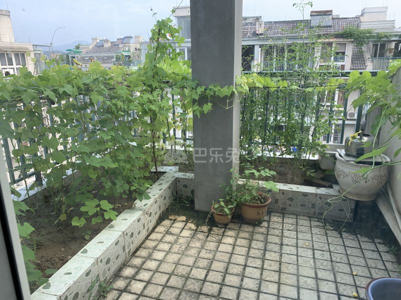 凤城花苑15348022周边环境图27