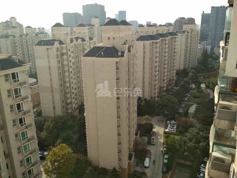 新梅共和城1538149周边环境图11