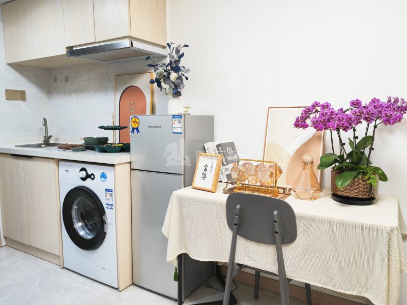 壹+公寓15407727厨房图4