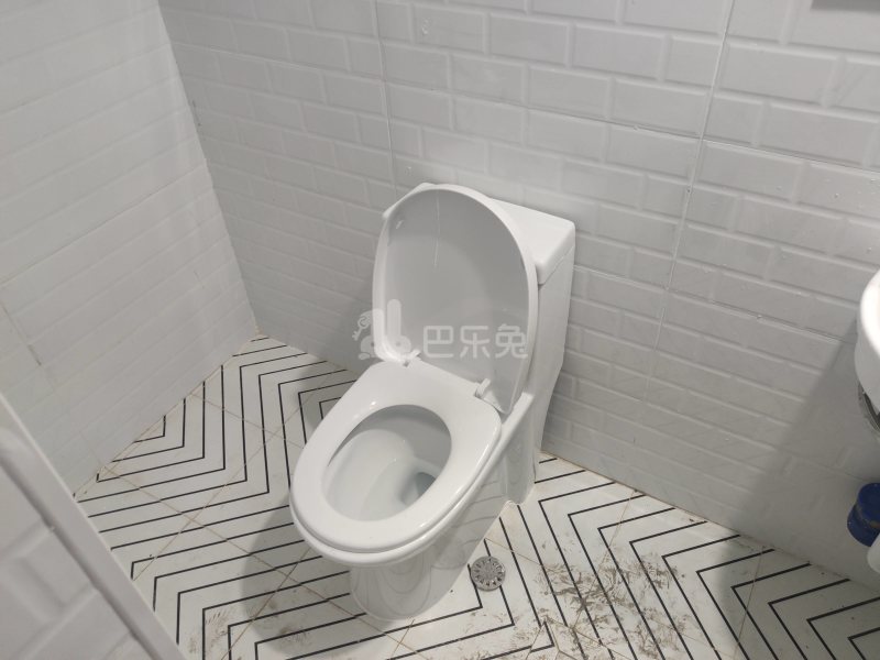 巨峰家苑（博兴路1768弄）1542920卫生间图9