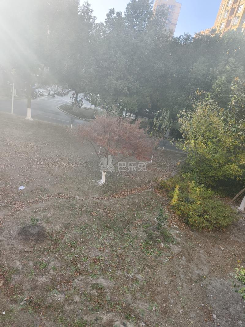 塘和家园登云苑15432972周边环境图7