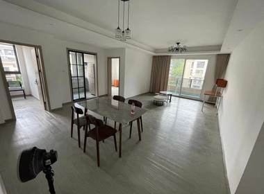 新湖菲林 5室1厅2卫