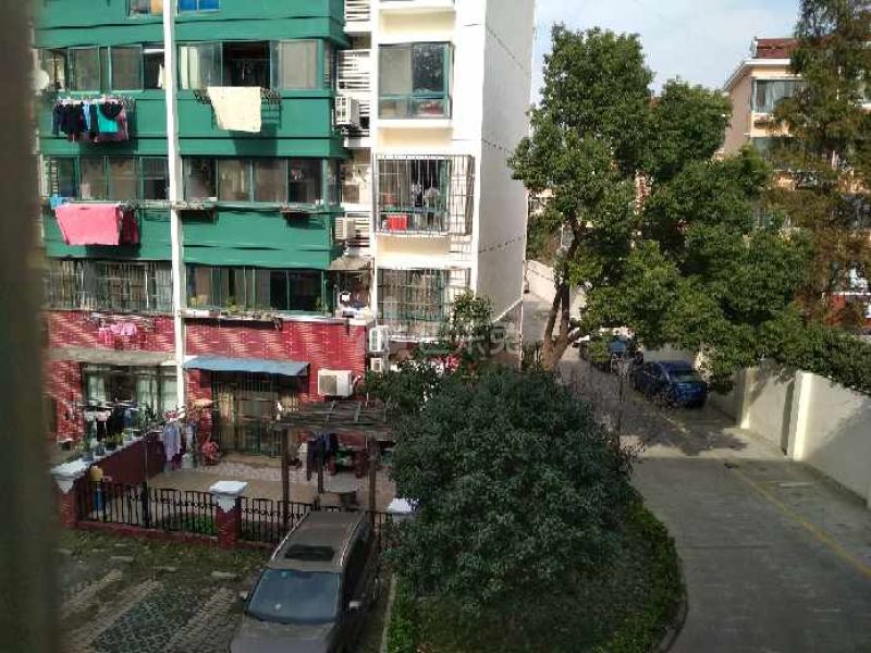 阳光新居（华丰苑）3943805周边环境图11