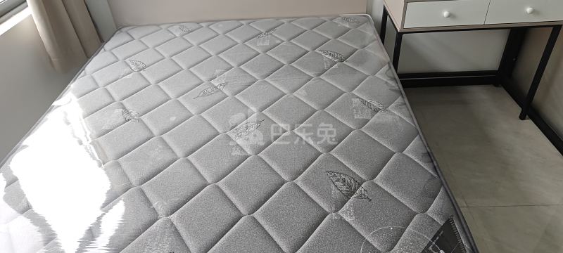 广东省深圳市南山区蛇口TCL科技大厦（工业六路南）15520541卧室图3