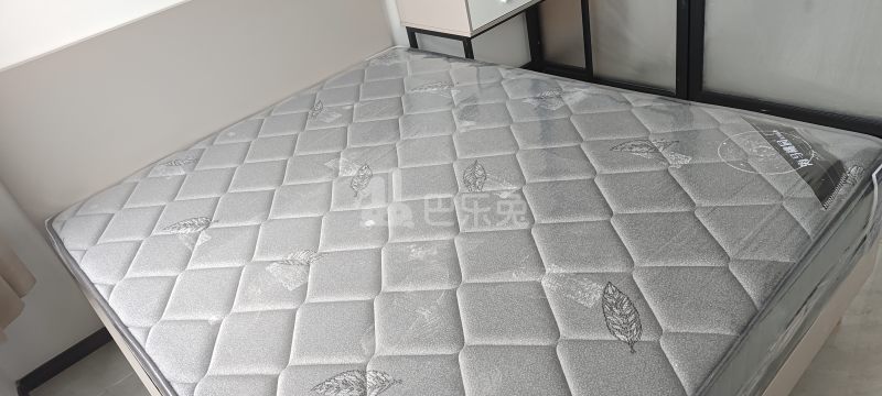 广东省深圳市南山区蛇口TCL科技大厦（工业六路南）15520541卧室图2