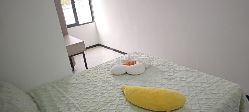 广东省深圳市南山区蛇口TCL科技大厦（工业六路南）15520555卧室图2