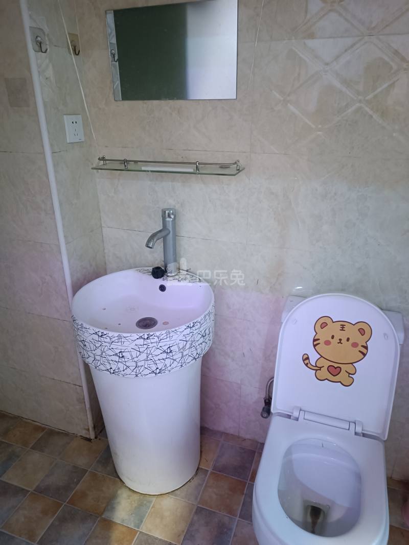 泰业公寓（小区）15558527卫生间图5