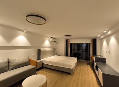 龙湖金地商置都会公馆 1室0厅1卫