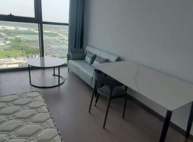 越洋国际 1室1厅1卫