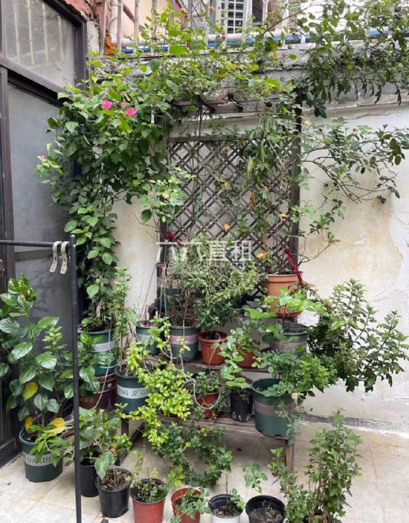 梅园新村（梅一小区）15607036卧室图6