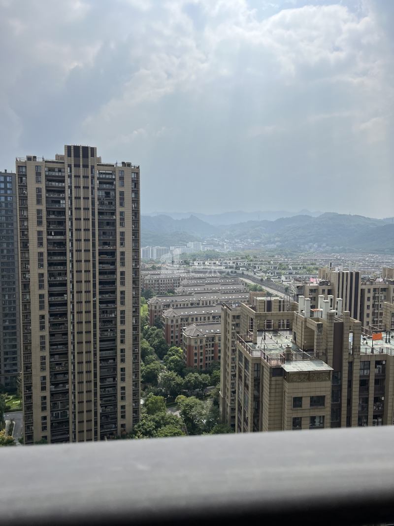 绿城桃源小镇东方苑15616462周边环境图55