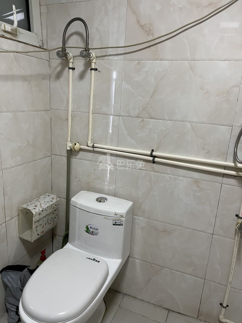 绿城桃源小镇东方苑15616462卫生间图24