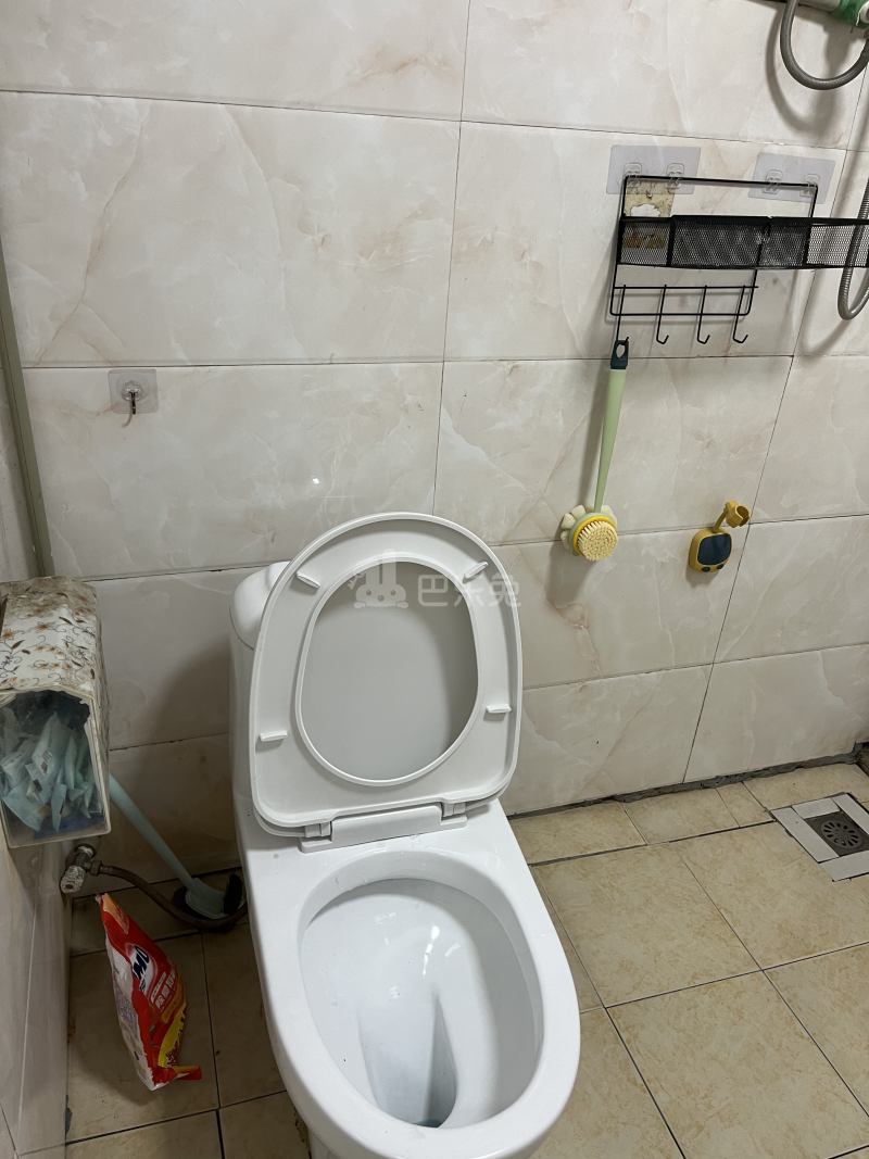 绿城桃源小镇东方苑15616462卫生间图23