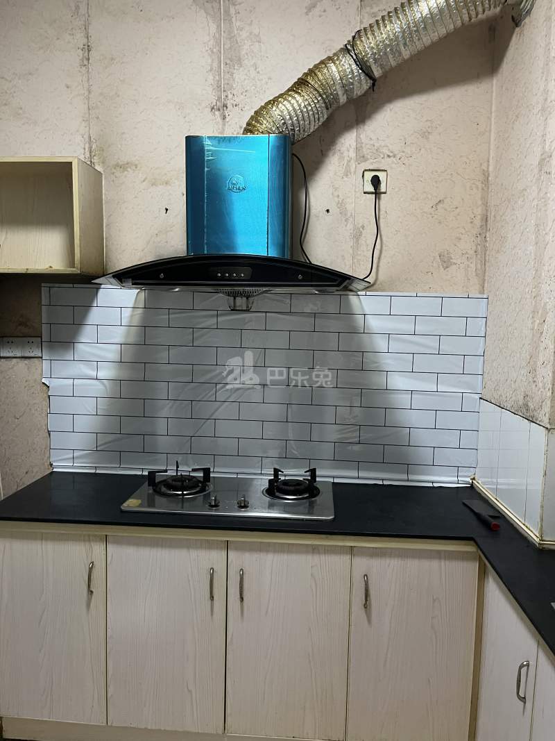绿城桃源小镇东方苑15616462厨房图21