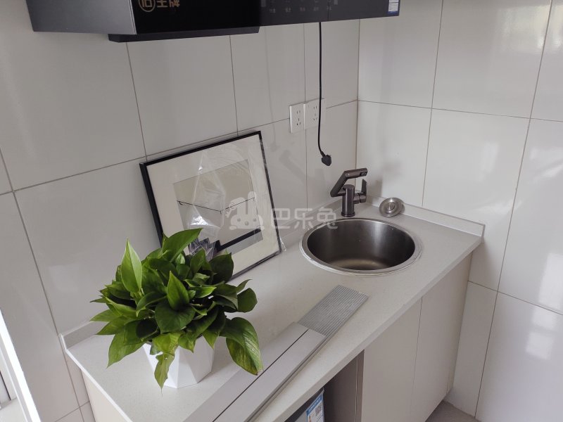 西岑村15631401厨房图5