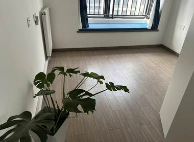 万达钻石湾 1室1厅0卫