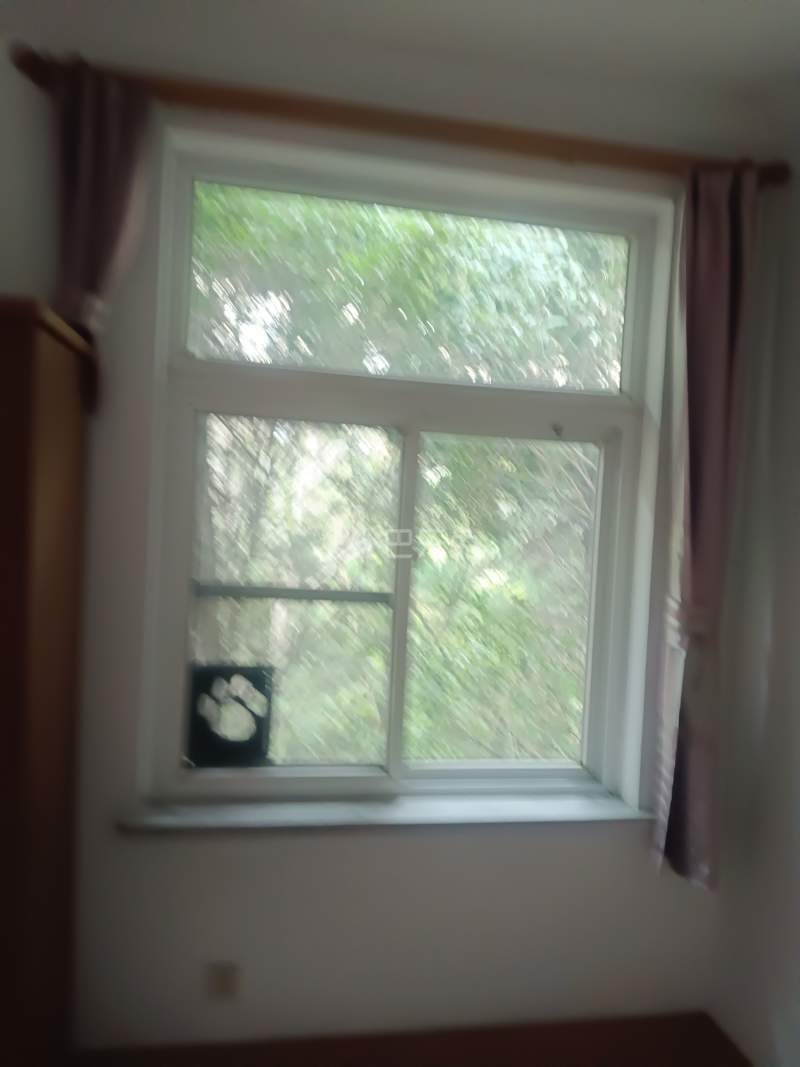 兆丰乡根园大上海小台北别墅15711104卧室窗户图13