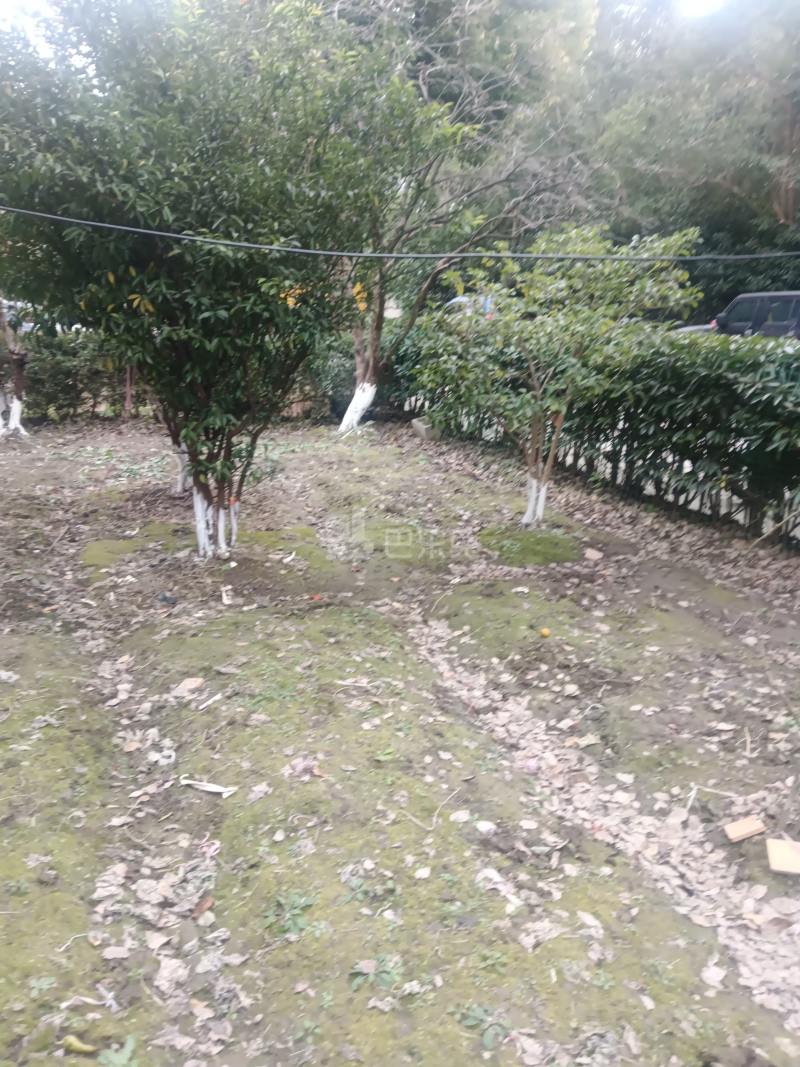 兆丰乡根园大上海小台北别墅15711104周边环境图12