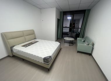 越洋国际 1室1厅1卫