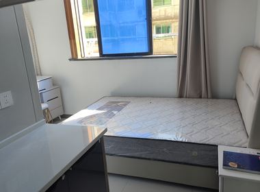 华龙公寓（奉贤） 