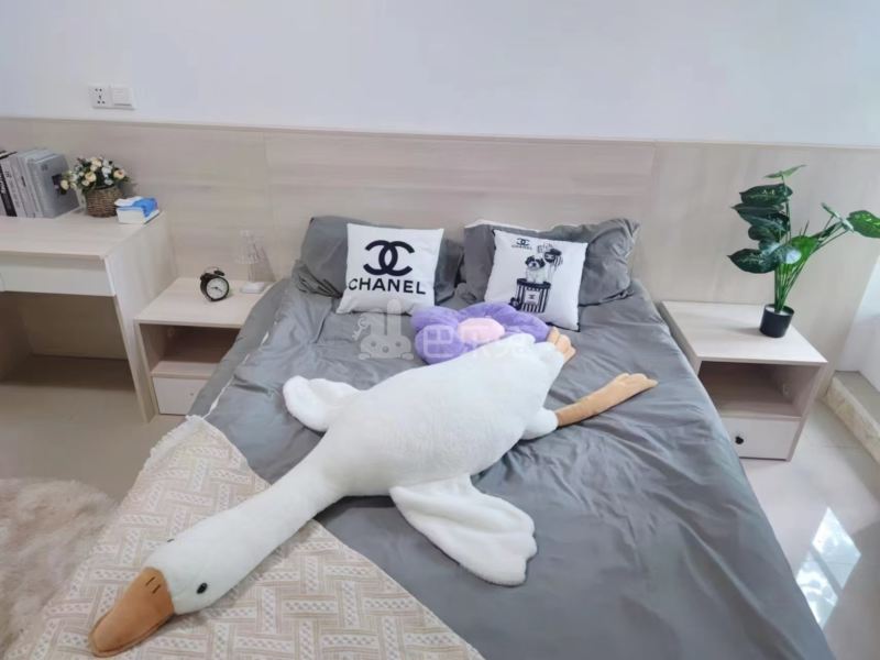 逸居公寓（江月路店）16019508周边环境图4