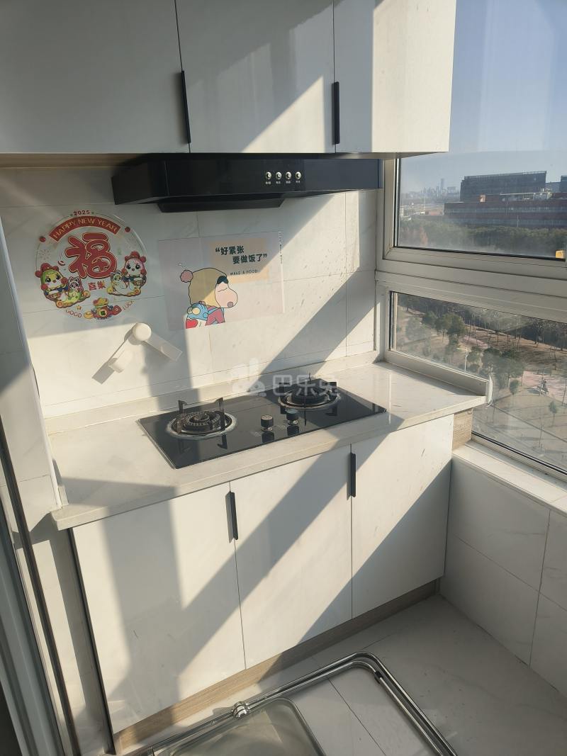 高潮新苑16043601厨房图5