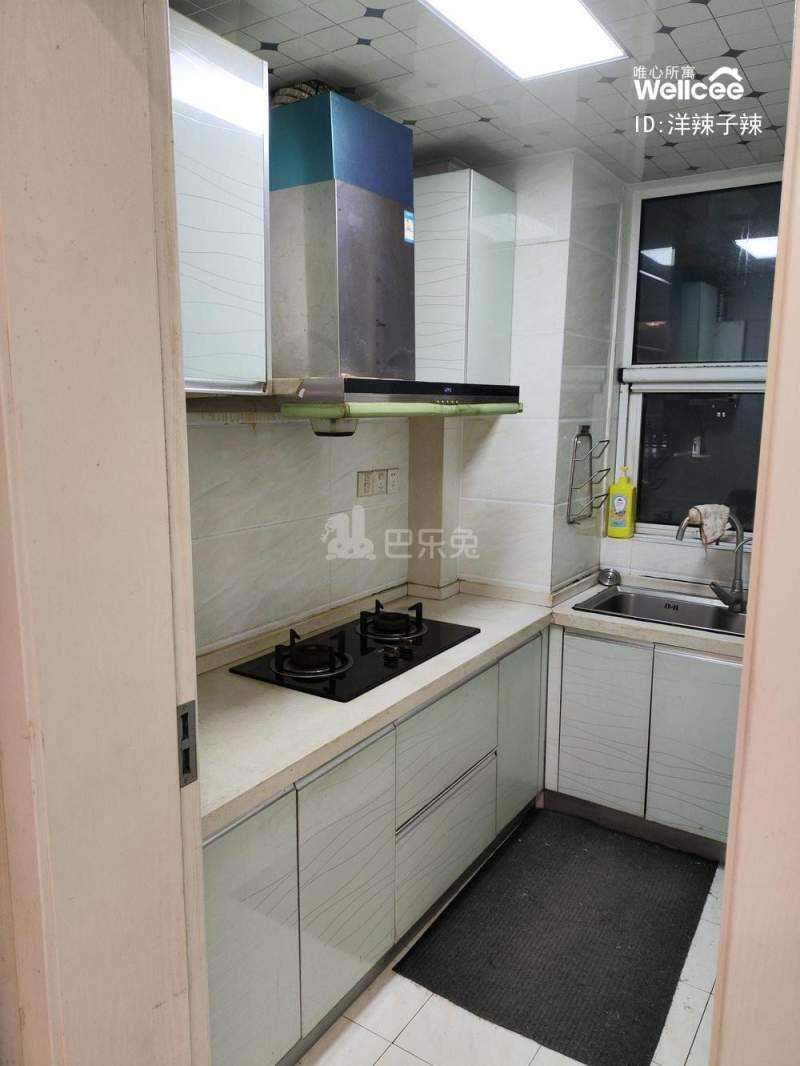 中欧假日花园16053104厨房图10