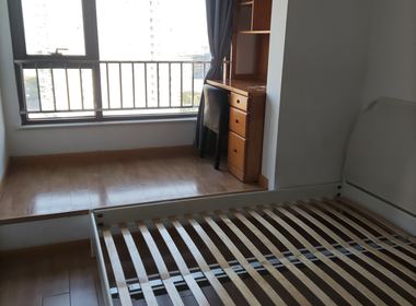 智慧城广场 1室1厅1卫