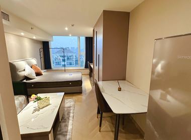 奥体华悦城 1室1厅1卫