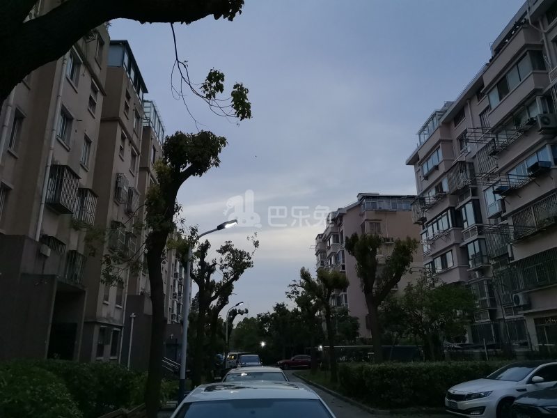 和龙新苑16115116周边环境图7