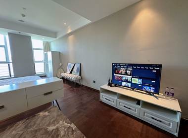 金铂湾公寓 1室1厅1卫