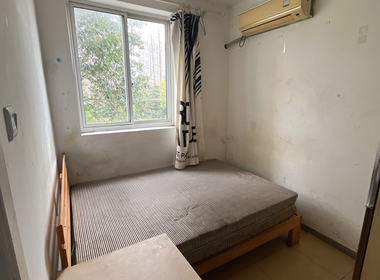 杨新路80弄小区 