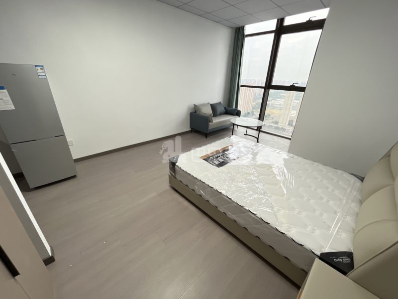 越洋国际16316465卧室图1