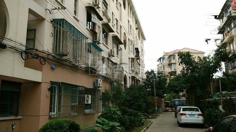 杨新路80弄小区16291136周边环境图9