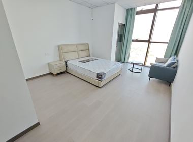 越洋国际 1室1厅1卫