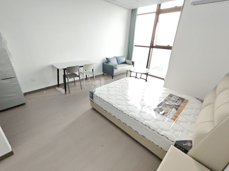 越洋国际16573823卧室图1