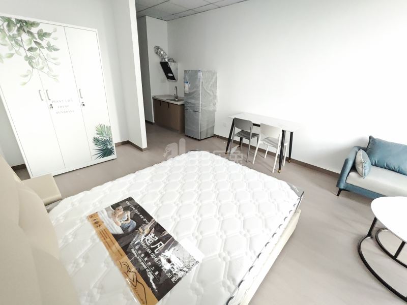 越洋国际16573823卧室图2