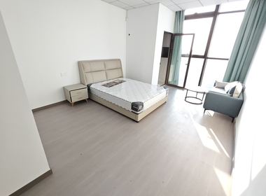 越洋国际 1室1厅1卫