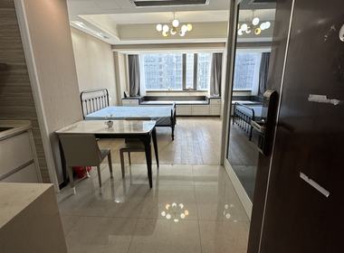 众安嘉润公馆 1室1厅1卫