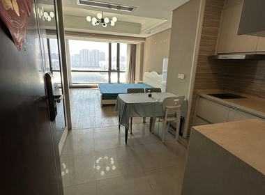 众安嘉润公馆 1室1厅1卫