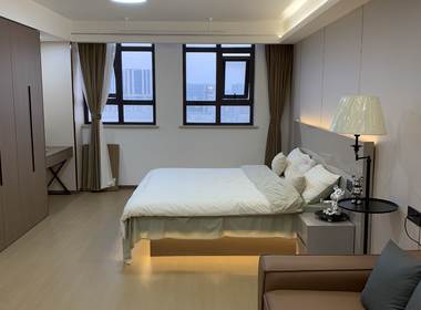 SVIP斯维派服务公寓（明珠路店） 1室1厅1卫