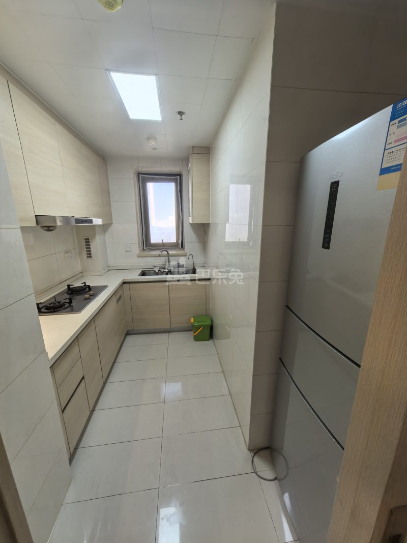 新城郡未来16780606厨房图5