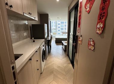 奥体华悦城 1室1厅1卫