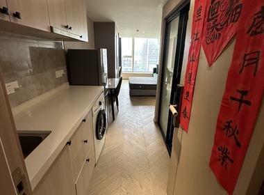奥体华悦城 1室1厅1卫